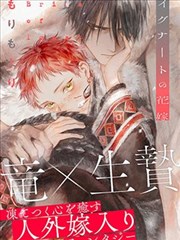 落日镖客漫画全集封面